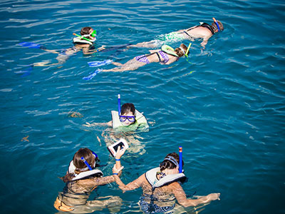 Key West Safari Eco Tour Snorkel