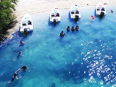 Key West Safai Eco Tour Snaorkel